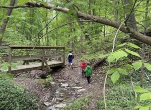 Kids walking in Avon Woods