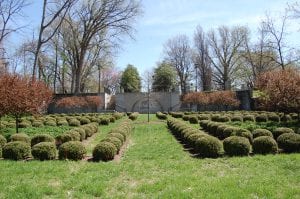 garden with green lawn and small bushes aligned and a stone structure at the back