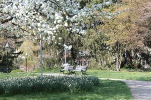 tiny park with green lawn and bench