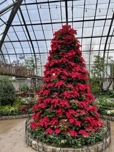 poinsettia christmas tree