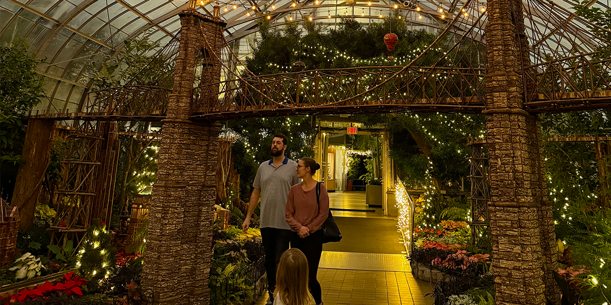 Krohn Conservatory holiday showroom at night