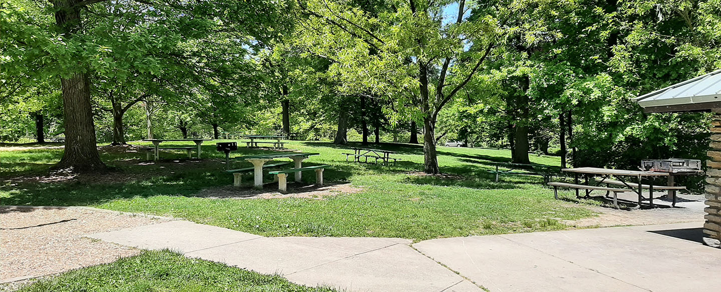 Area 10 Picnic Grove Adjacent To First Come First Serve Shelter