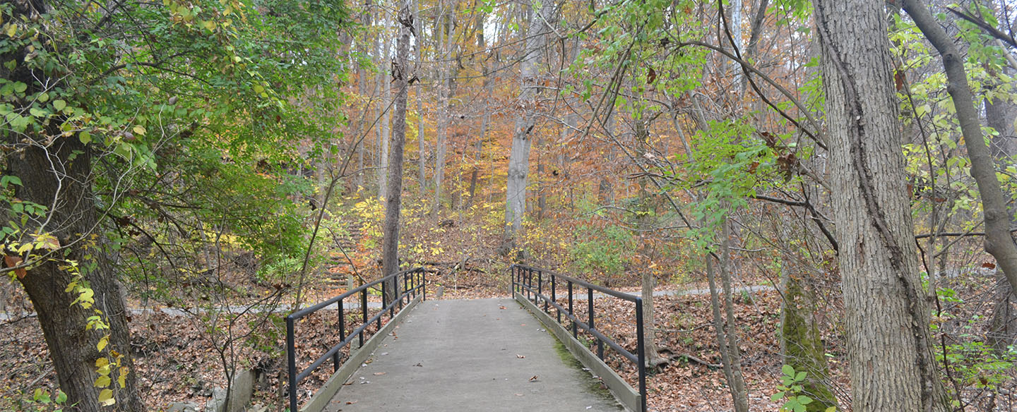 Hiking Trail In California Woods Nature Preserve