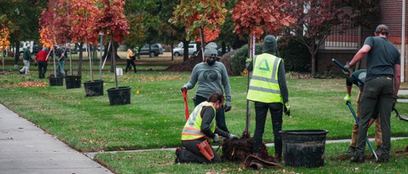 Tree planting at Laurel Park