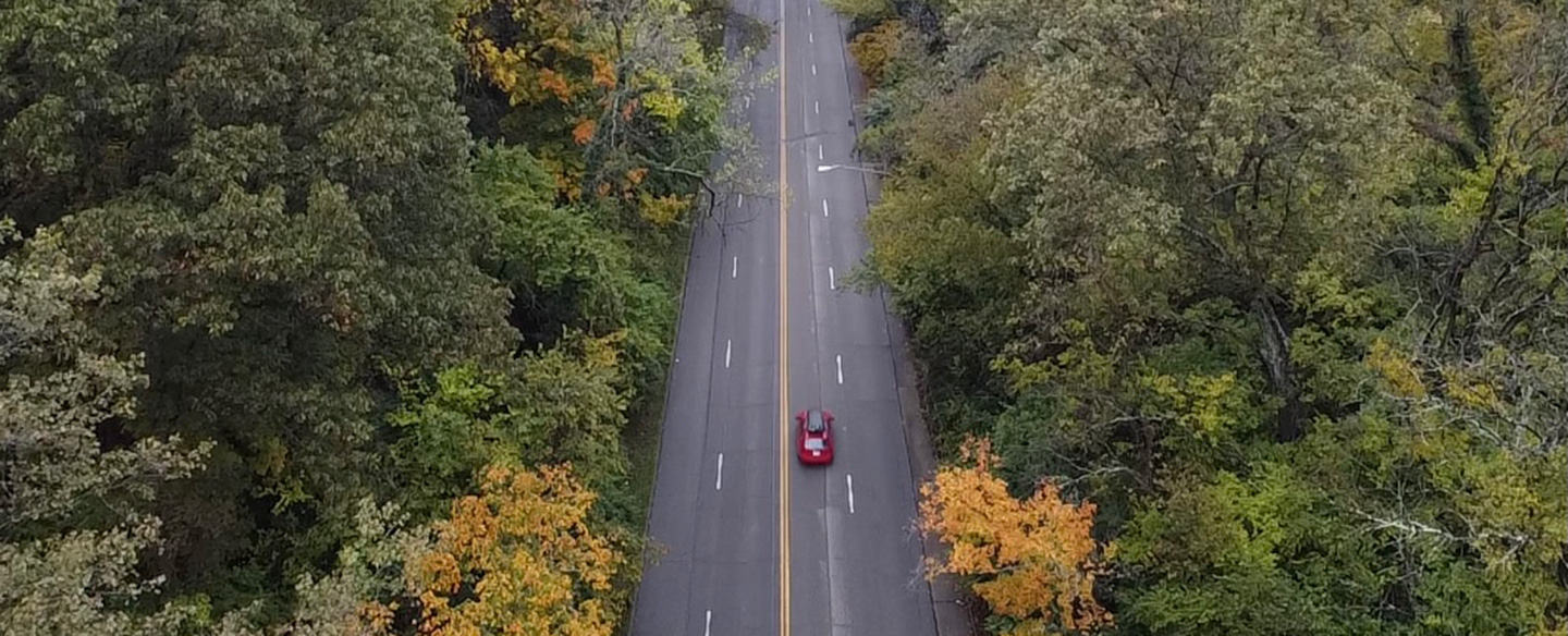 Torrence Parkway Tree Canopy