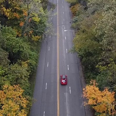 Torrence Parkway Tree Canopy