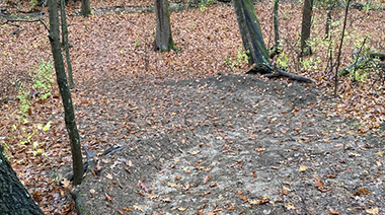 Unsanctioned Mountain Bike Trail Found Being Built in Greeno Woods