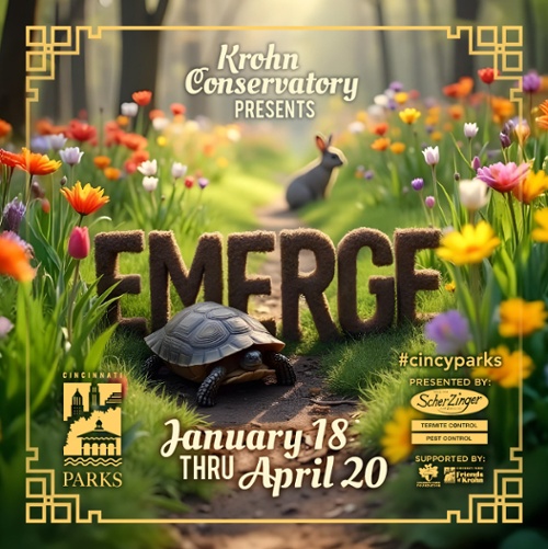 Emerge