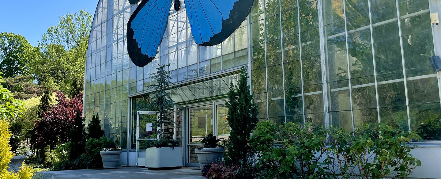 Butterfly Show at Krohn Conservatory