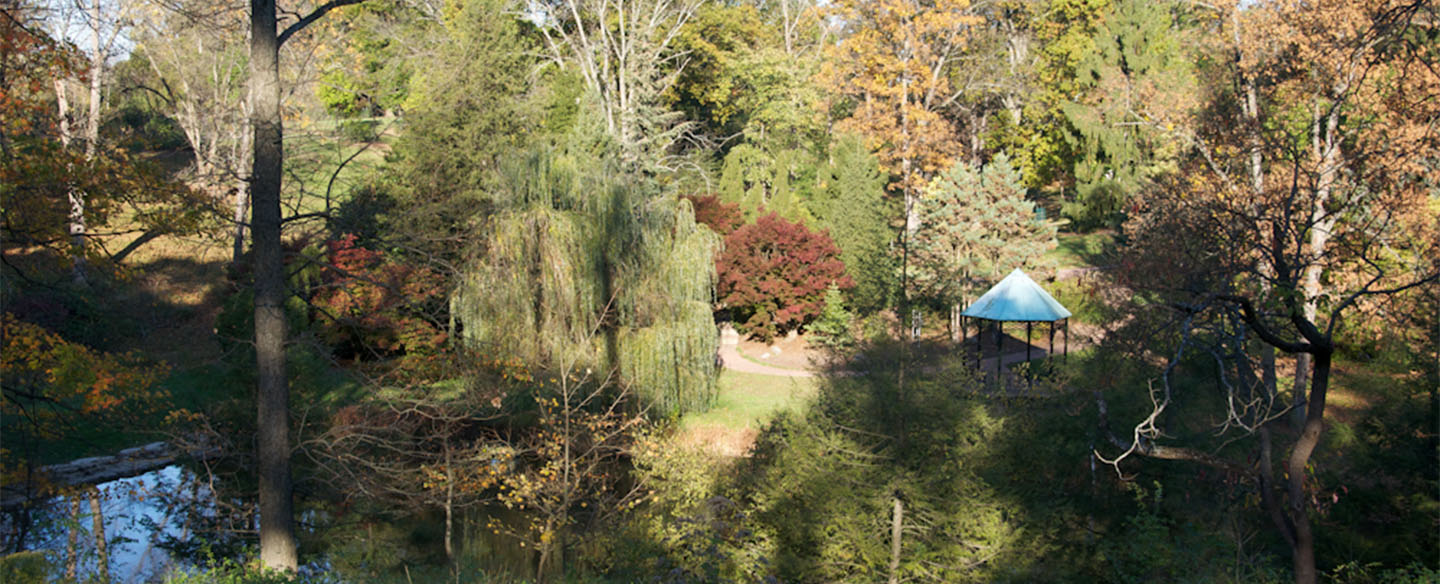 Meyer Lake Wedding Gazebo In Mt Airy Forest Arboretum In Fall