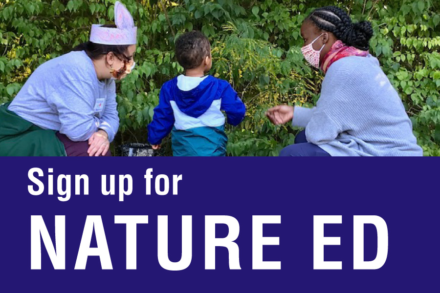 Nature Education