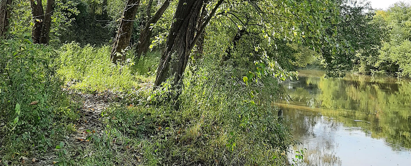 Magrish Nature Preserve Trail Along Little Miami River