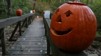 Cincinnati Parks Halloween Event Lineup