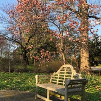 Hauck Botanical Gardens