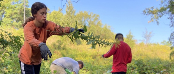 Volunteers clear Walnut Woods of Evanston