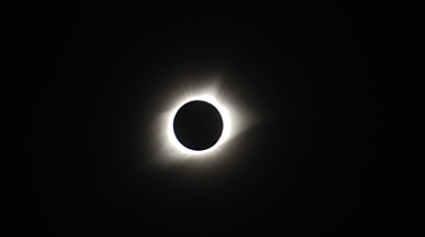 Wildlife during the Total  Solar Eclipse