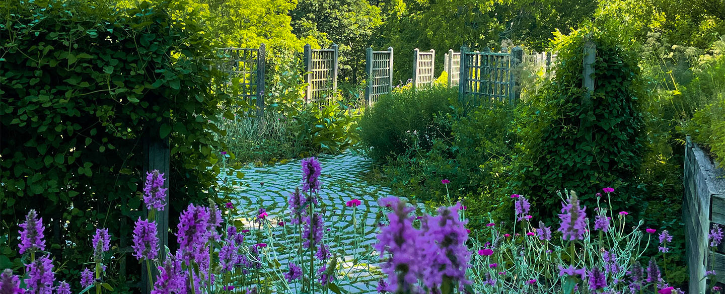 Mt. Airy Arboretum Garden