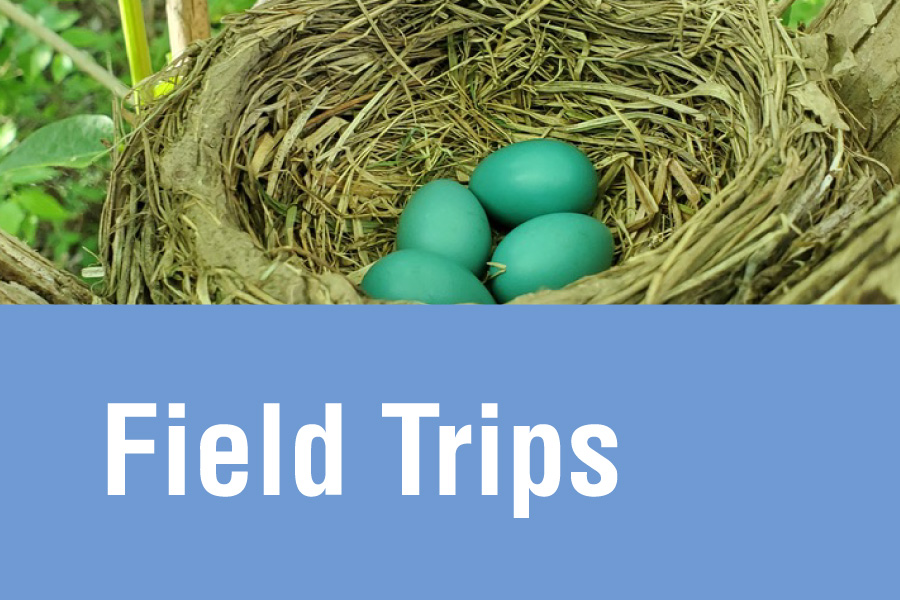 Field Trips