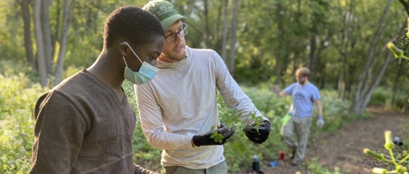 Identifying plants at Walnut Woods of Evanston