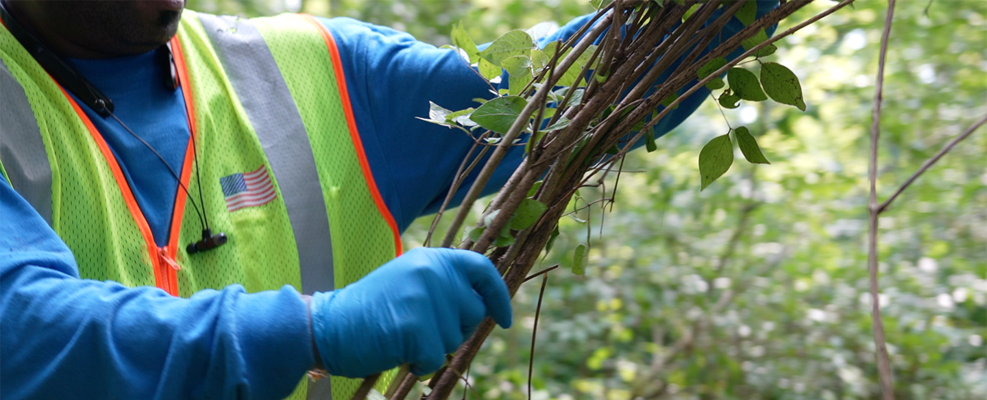 Apply For A Job With Cincy Parks!