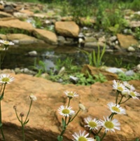 Glenway Woods Nature Preserve