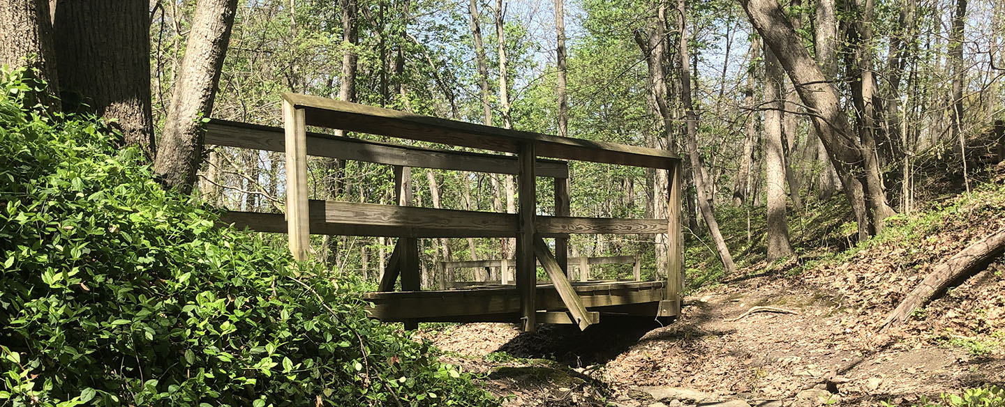 Hiking At Avon Woods Nature Preserve