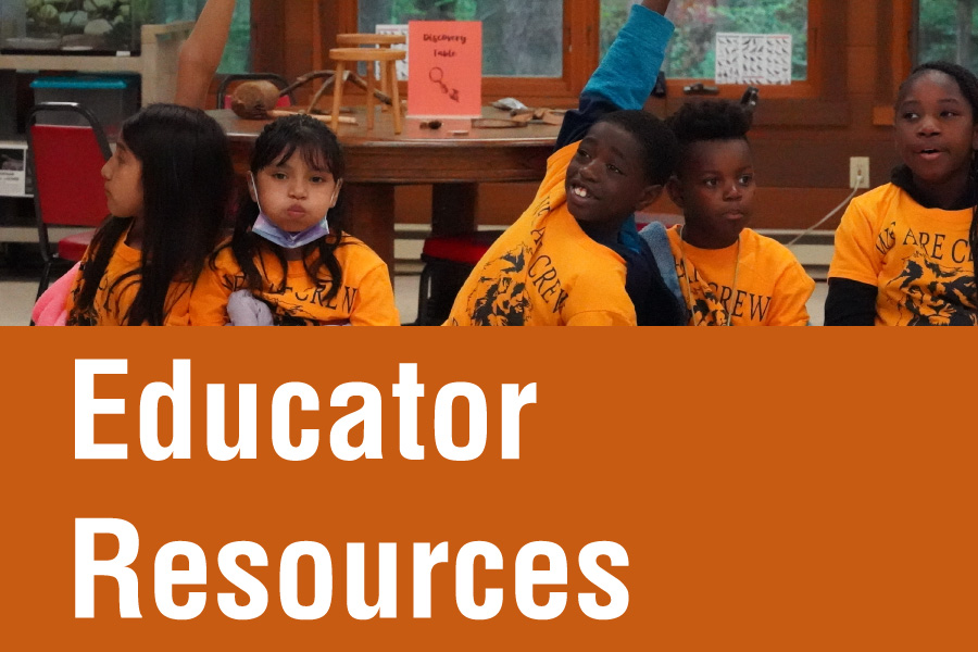 Educator Resources