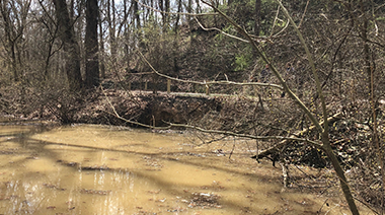 California Woods Erosion Repairs - Park to Remain Open, Expect Periodic Road Closures