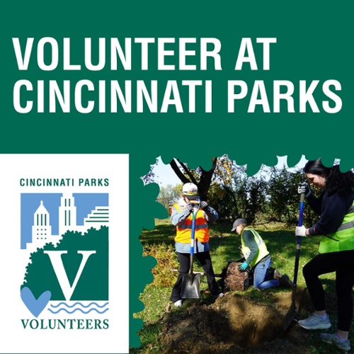 Volunteer at Cincinnati Parks!