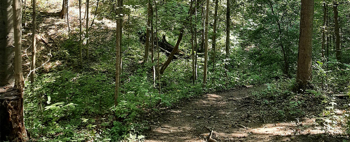 Hiking Trail at Parkers Woods