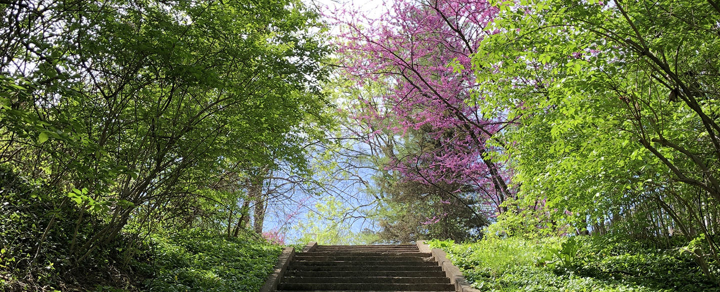 Hiking Trails at Avon Woods Nature Preserve