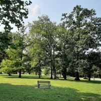 Madison Park