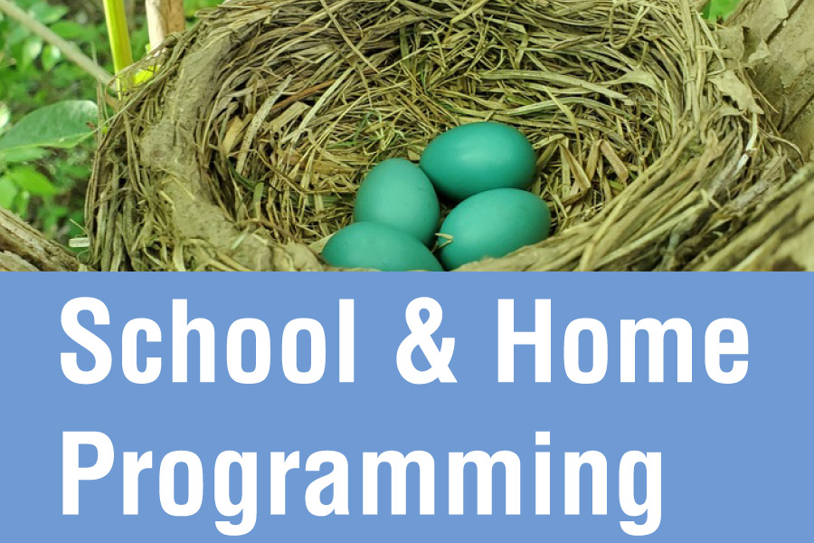 School and Homeschool Programming