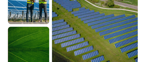 Green Workforce Landscape Analysis Report Released
