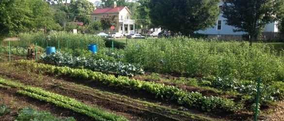 Cincinnati Ranked #2 in Urban Agriculture!