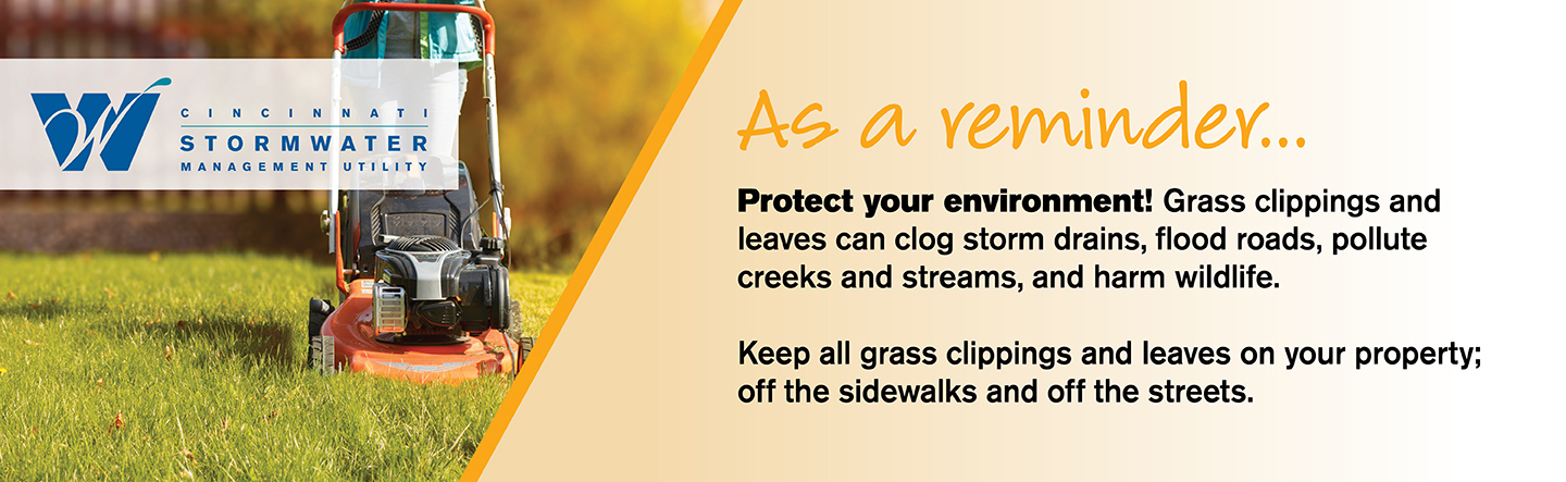 Protect Your Environment This Summer!