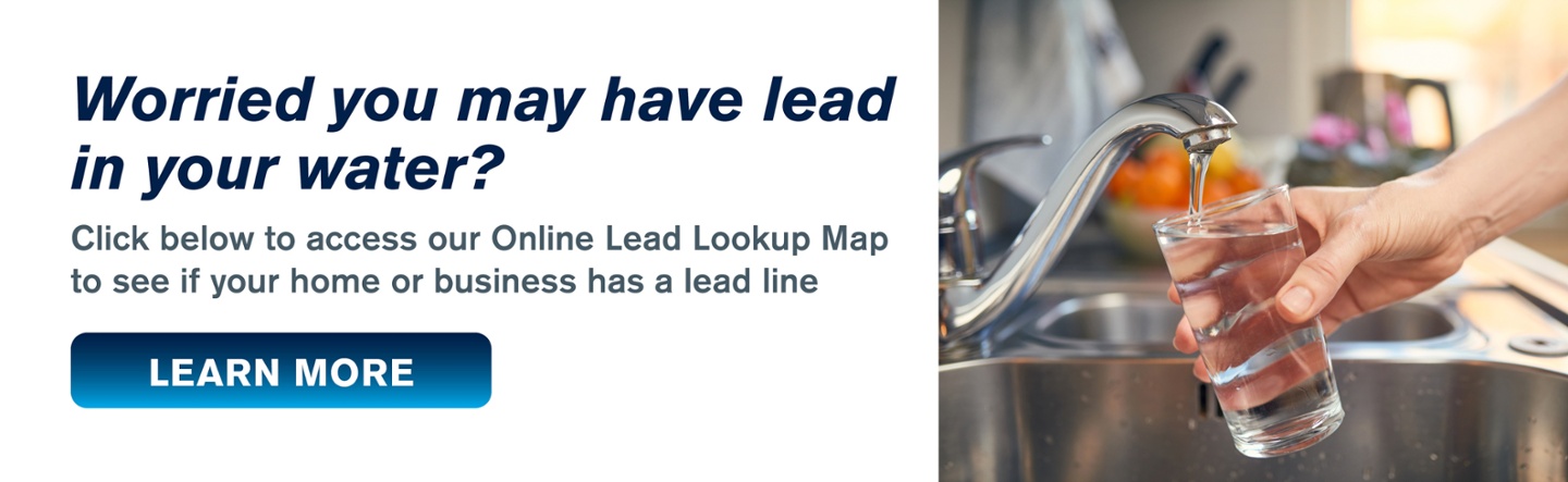 Worried you may have lead?